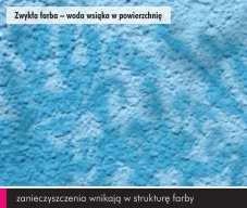 W przypadku elewacji pomalowanych zwykłą farbą zanieczyszczenia wnikają w strukturę farby, powodując widoczne zabrudzenia i korozję biologiczną (grzyby, glony, itp.)
