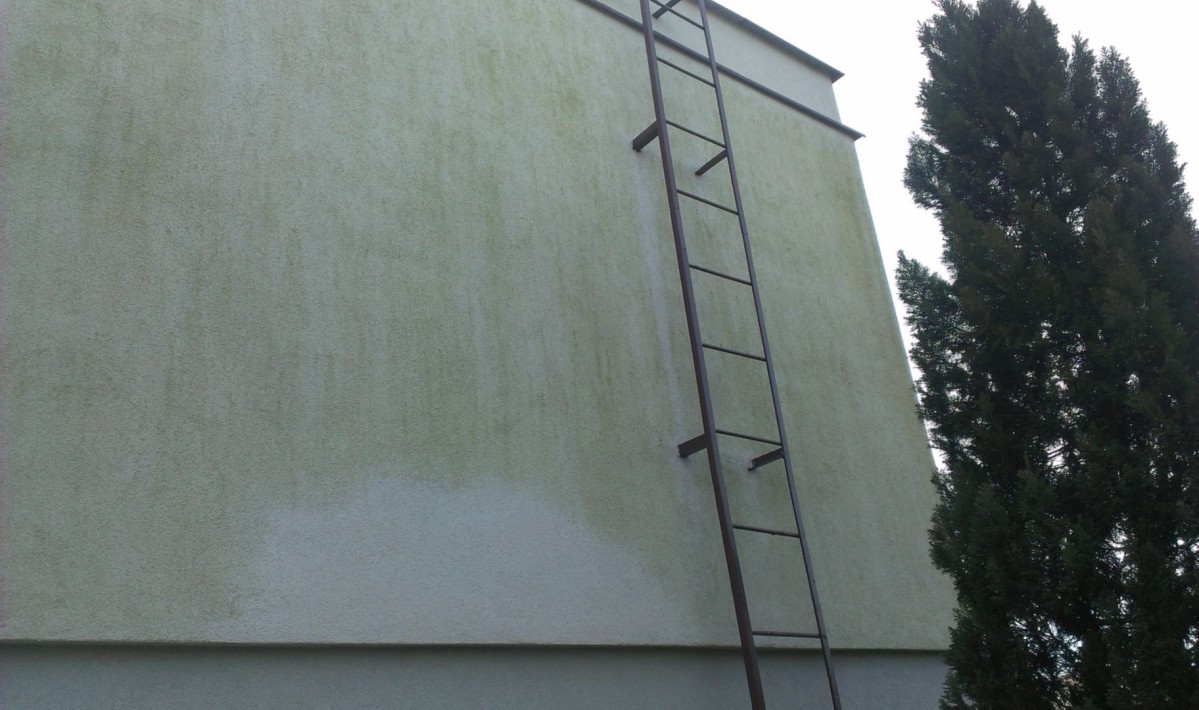 Elewacja porośnięta i zabrudzona, Fot. Weber