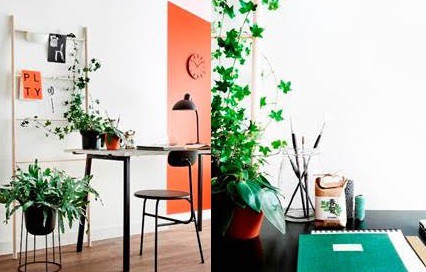 Fot. Tikkurila