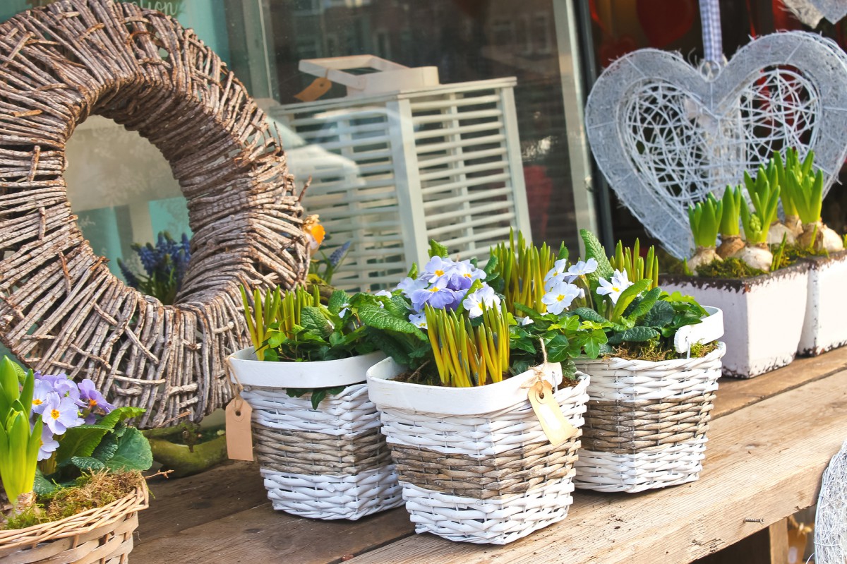Fot. Fotolia
