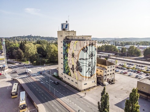 Fot. Tikkurila