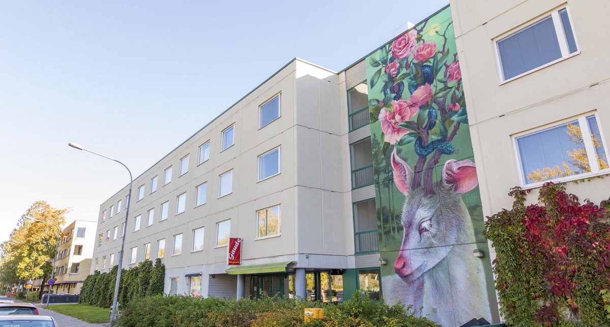 Fot. Tikkurila