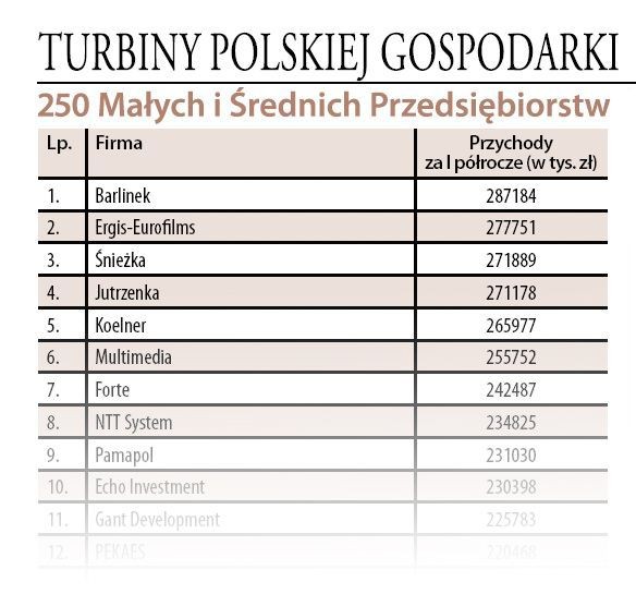 Śnieżka napędza gospodarkę