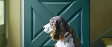 Fot. Benjamin Moore