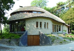 Żółw wsparty na dębach