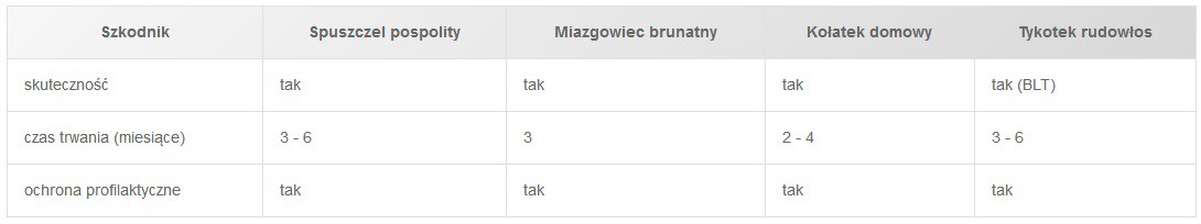 Owady niszczące drewno