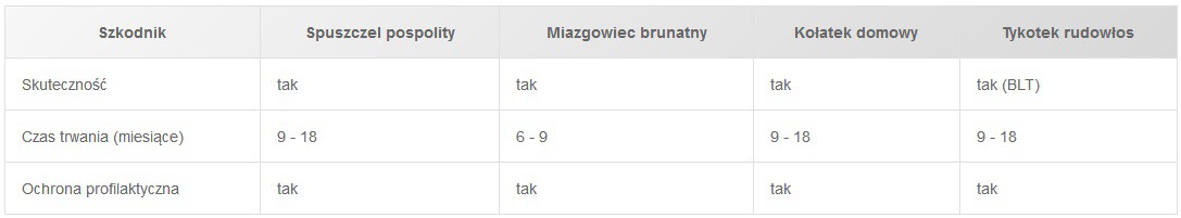 Owady niszczące drewno