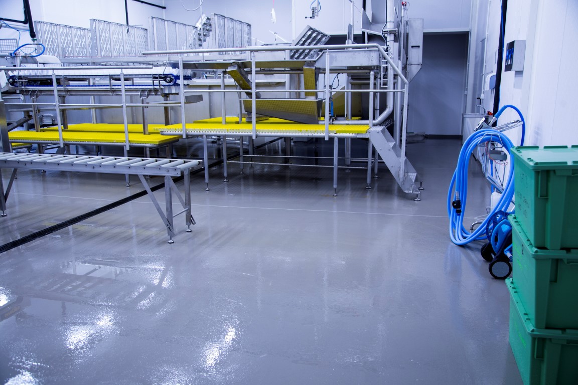 Jurassic Salmon Flowfresh fot. Flowcrete