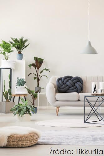 Fot. Tikkurila