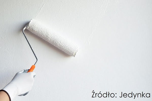 Fot. Jedynka