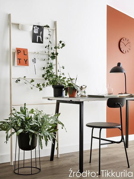 Fot. Tikkurila