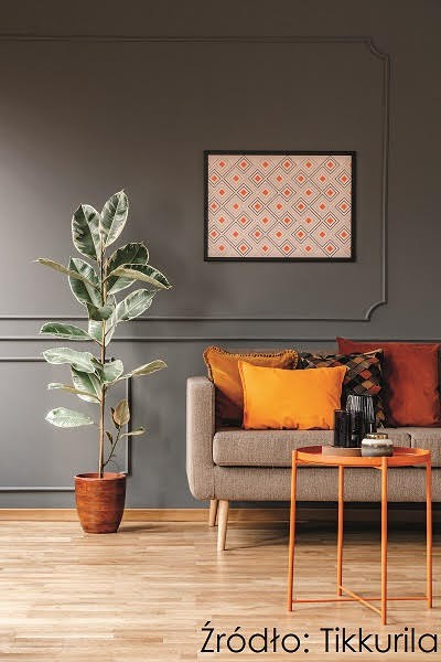 Fot. Tikkurila