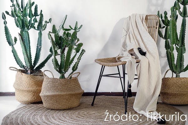 Fot. Tikkurila