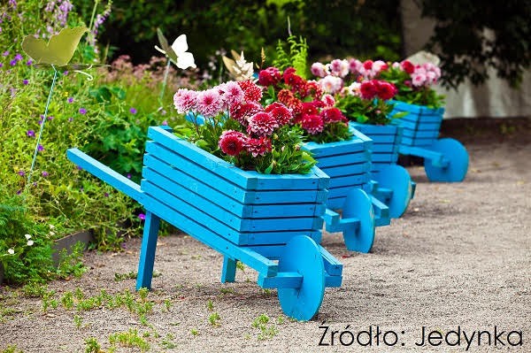 Fot. Jedynka