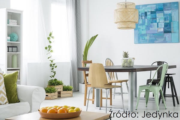 Fot. Jedynka