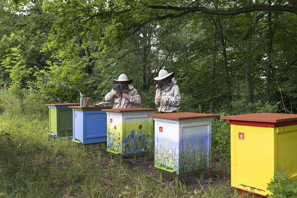 Fot. Tikkurila