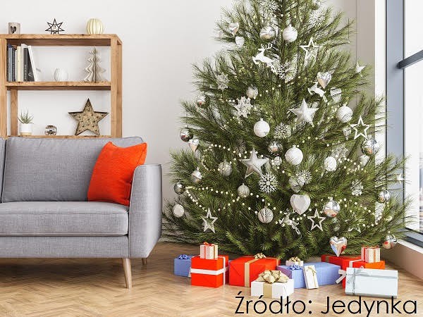 Fot. Jedynka