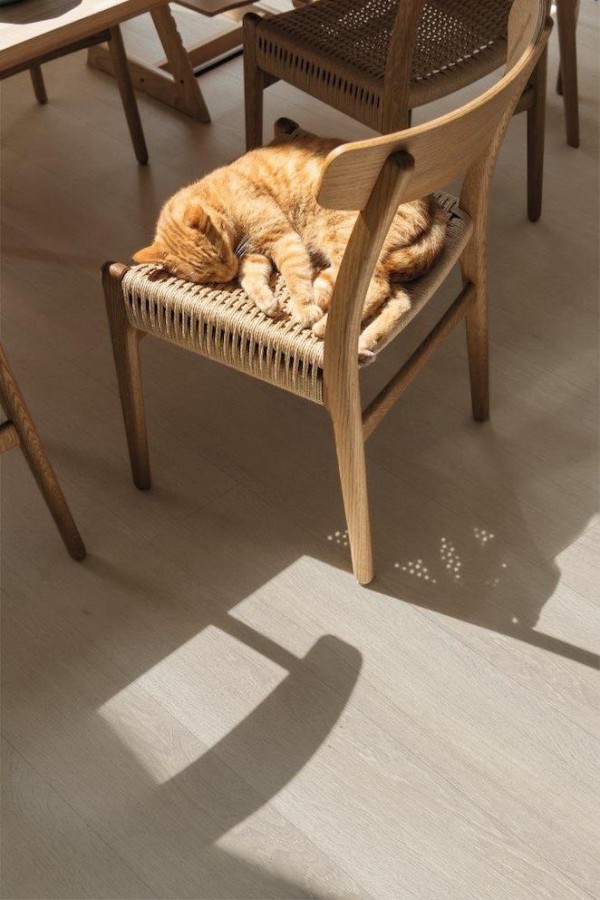 Fot. Quick-Step