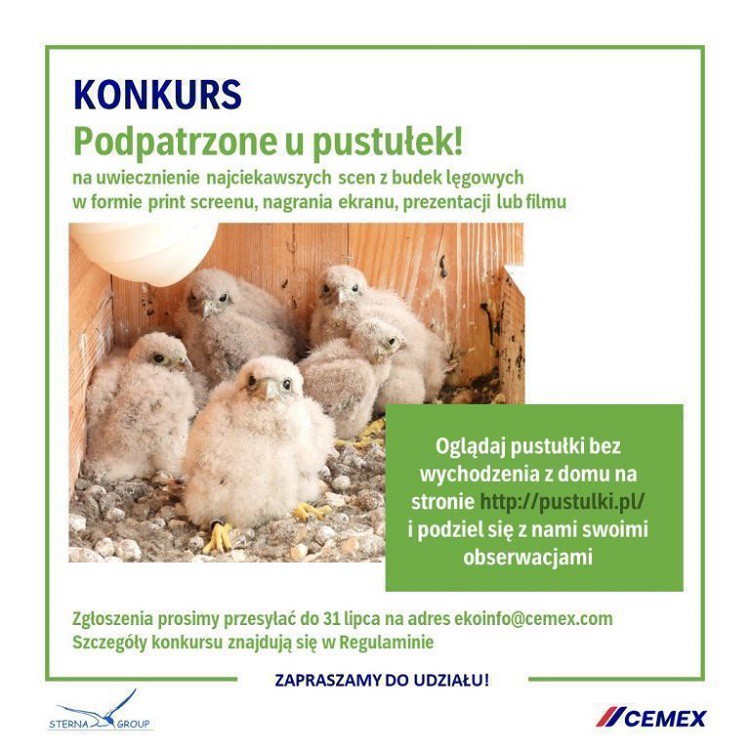 Fot. Cemex