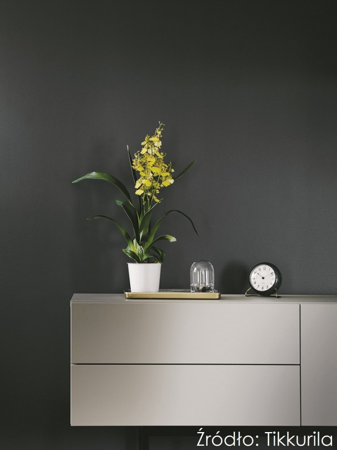 Fot. Tikkurila