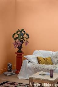 Fot. Tikkurila