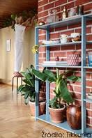 Fot. Tikkurila