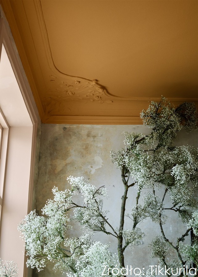 Fot. Tikkurila