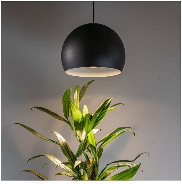 Fot. Nowodvorski Lighting