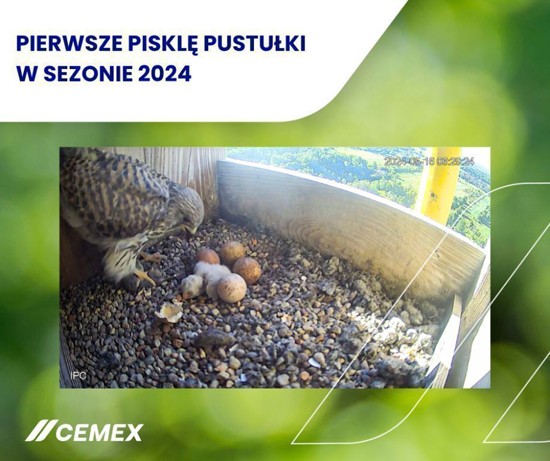 Fot. Cemex