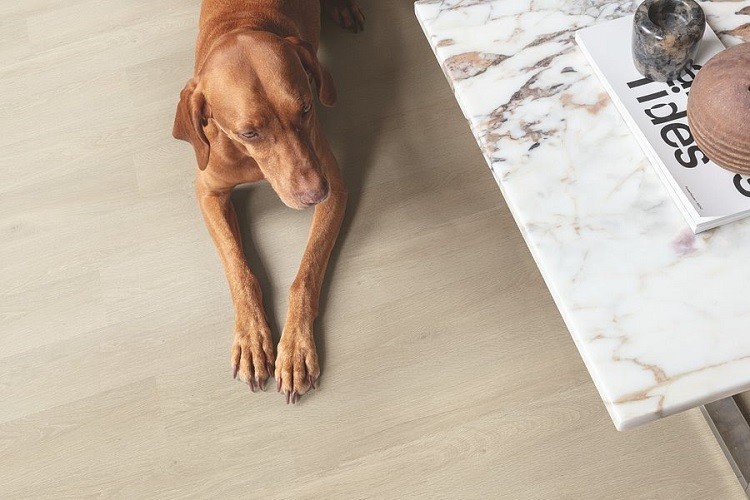 Fot. Quick-Step