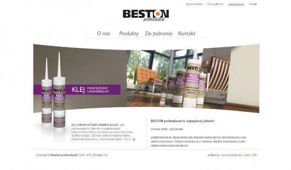 Nowy serwis internetowy Śnieżki - www.silikonybeston.pl