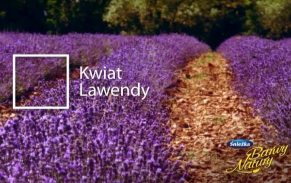 Nowa kampania reklamowa Śnieżki