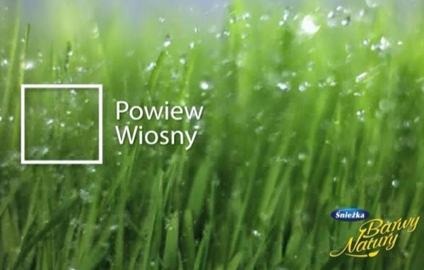 Nowa kampania reklamowa Śnieżki