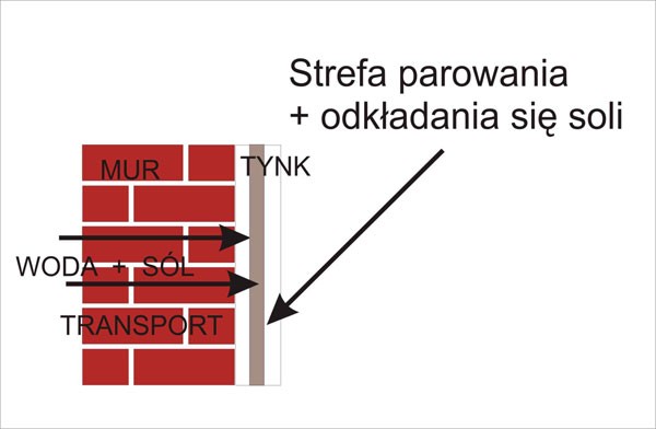 Ochrona ścian przed wilgocią