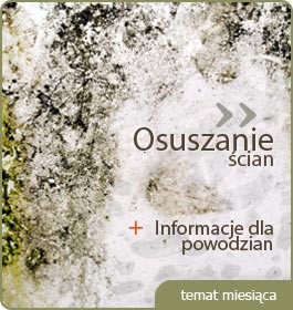 Osuszanie ścian - temat miesiąca
