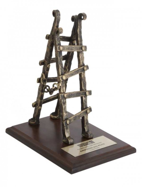 Statuetka „Produkt Wykonawcy 2010” dla farby AmphiSilan-Plus firmy Caparol, fot. Caparol
