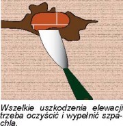 Jak i czym pomalować dom