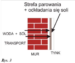 Tynki renowacyjne - ogólna wiedza
