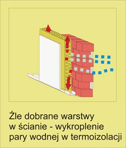 Dyfuzja pary wodnej