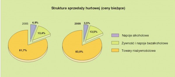 GUS - Rynek wewnętrzny w 2009 r.