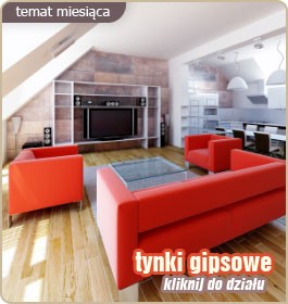 Tynki gipsowe - temat miesiąca