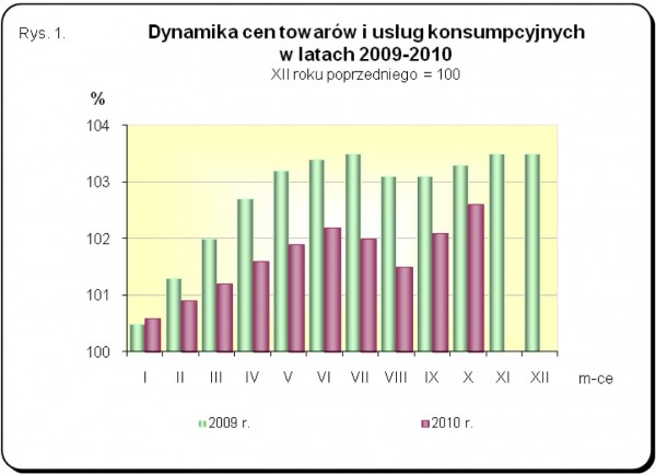 GUS - Wskaźniki cen towarów i usług konsumpcyjnych w październiku 2010 r.