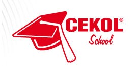 Kolejna edycja CEKOLSCHOOL’a