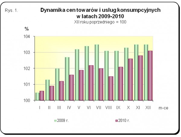 GUS - Wskaźniki cen towarów i usług konsumpcyjnych w grudniu 2010 r.