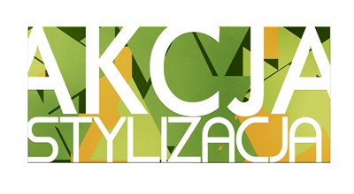 PARA PAINTS wkracza do „Akcji Stylizacji”