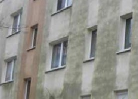 Mikrobiologiczne skażenie elewacji glonami i grzybami.