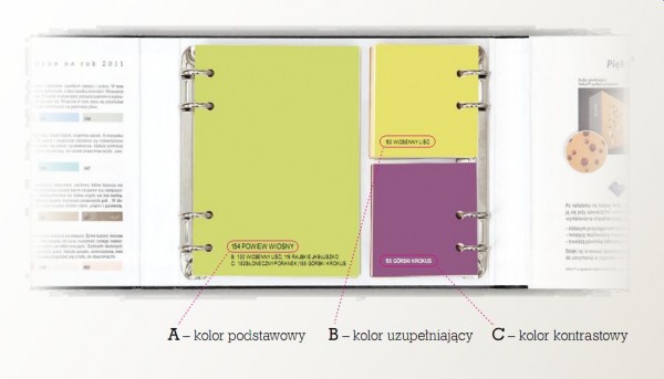 ABC kolorów. Praktyczny poradnik łączenia kolorów