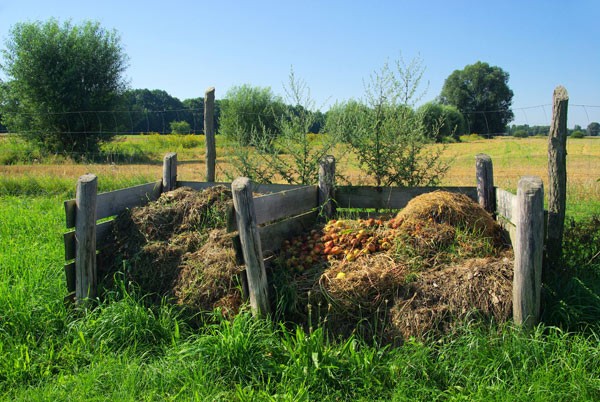Malowniczo, ale niezbyt praktycznie. Fot. Shutterstock