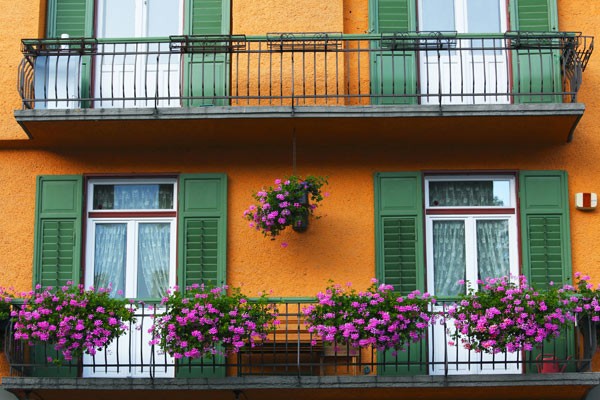 Fot. Shutterstock