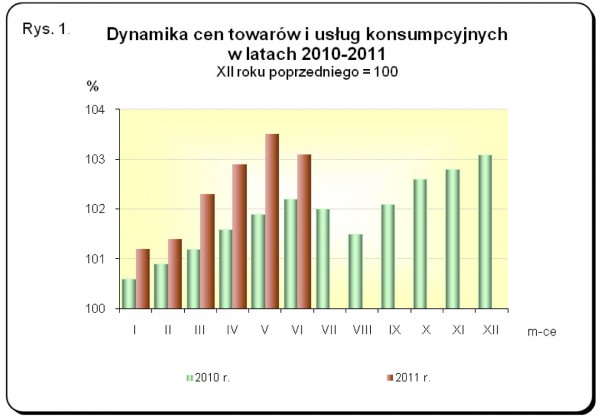 GUS - Wskaźniki cen towarów i usług konsumpcyjnych w czerwcu 2011 r.